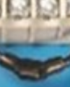 VOLTAGE SUPPRESSOR,BLACK F/BINTRAC BRDR CONTROLLER RELAY KIT